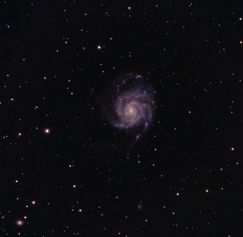 M101