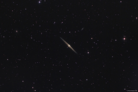 NGC4565