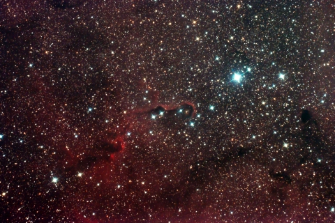 IC1396-Elephant Trunk