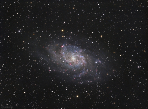 M33-Triangulum Galaxy