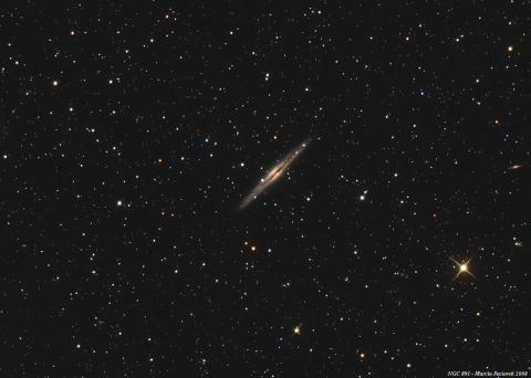 NGC891