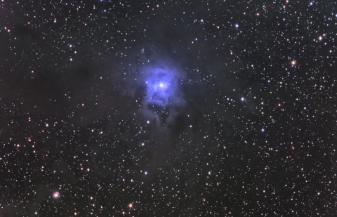 NGC7023