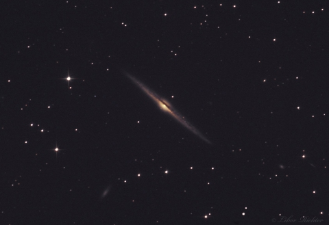 NGC4565