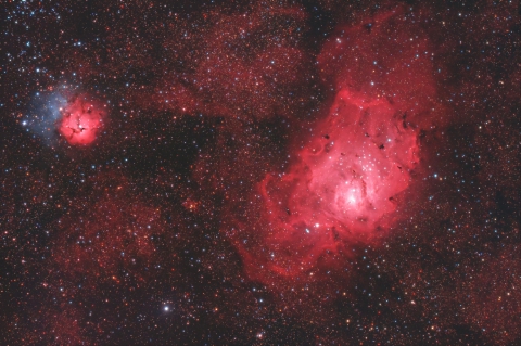 Laguna & Trifid