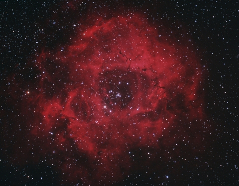 NGC2237-Rosette