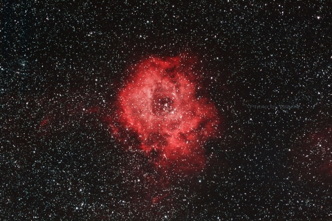 NGC2237-Rosette