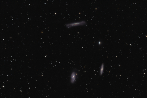 Leo Triplett - M65, M66, NGC3628