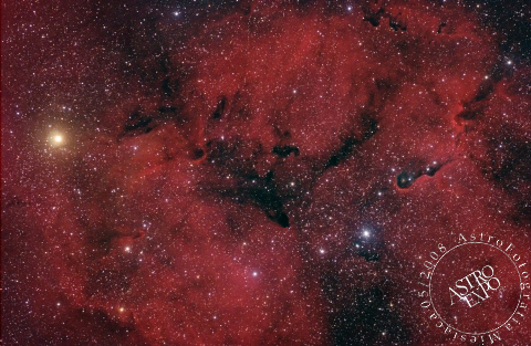 IC1396-Elephant Trunk