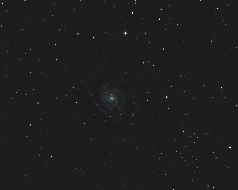 M101