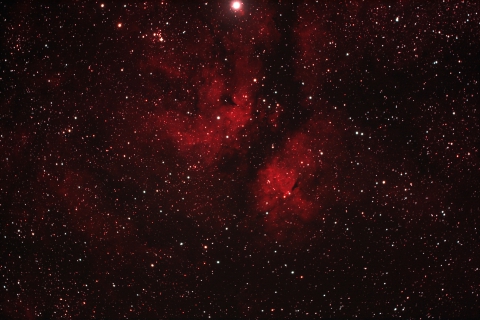 IC1318