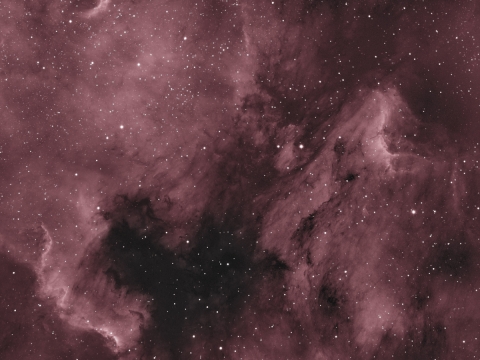 NGC7000-North America Nebula