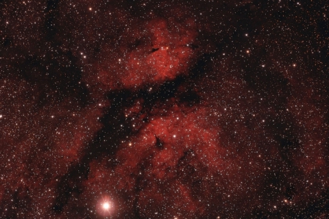 IC1318