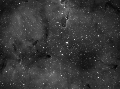 IC1396-Elephant Trunk