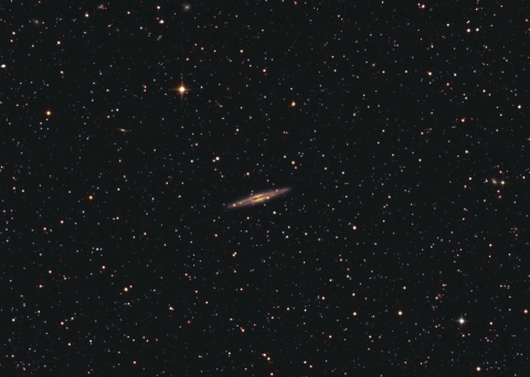 NGC891