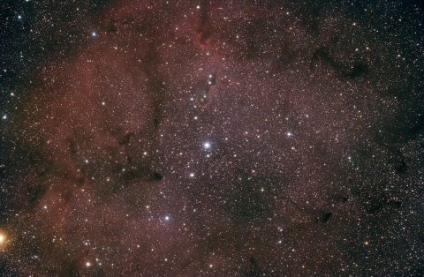 IC1396-Elephant Trunk