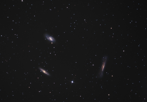 Leo Triplett - M65, M66, NGC3628