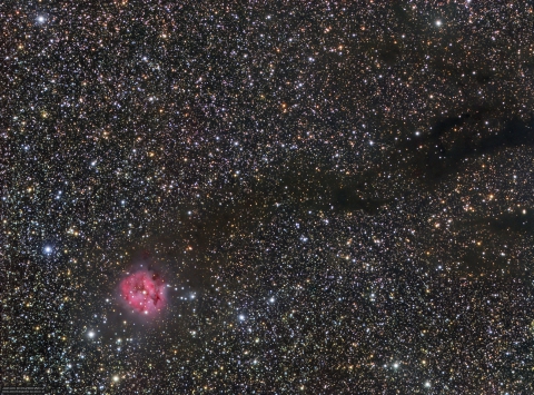 IC5146-Cocoon Nebula