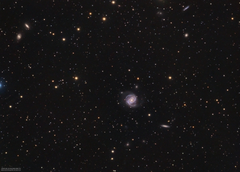 M100