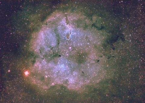 IC1396-Elephant Trunk