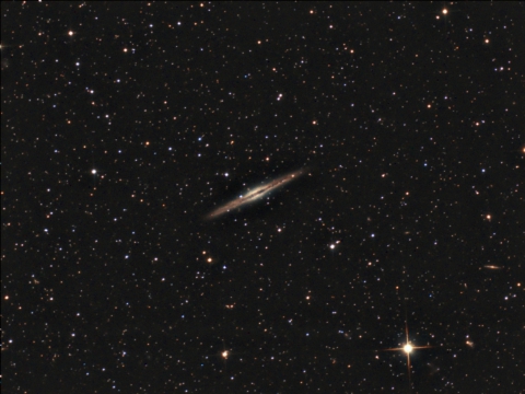 NGC891