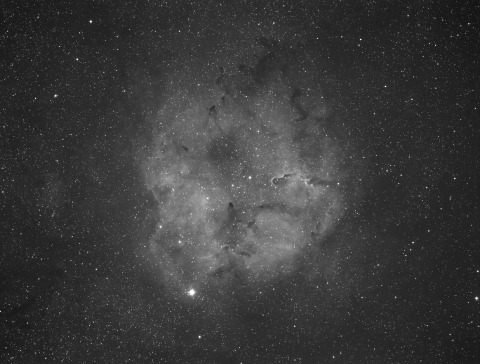 IC1396-Elephant Trunk