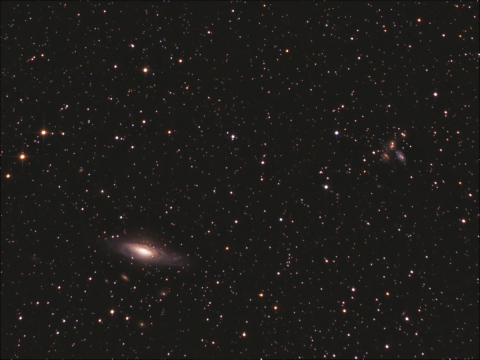 NGC7331