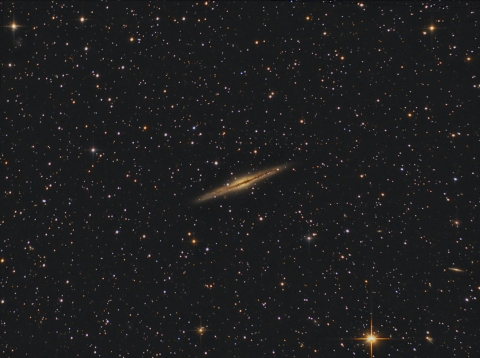 NGC891