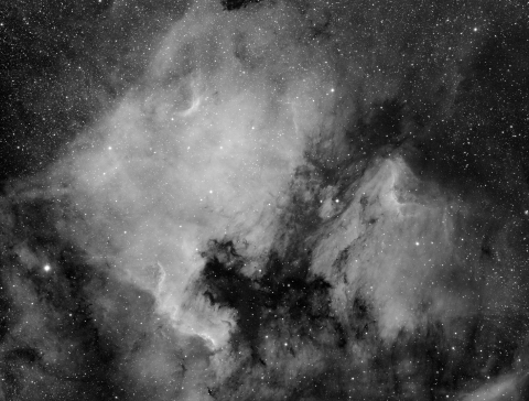 NGC7000-North America Nebula