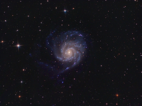 M101