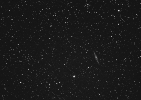 NGC891