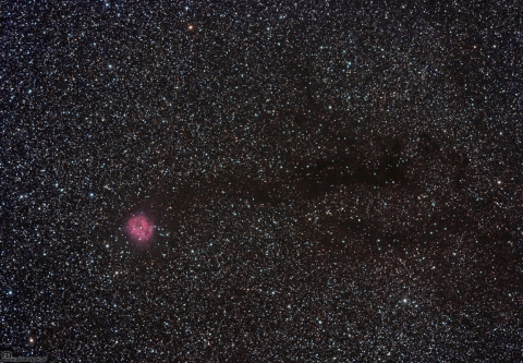 IC5146-Cocoon Nebula