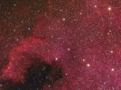 NGC 7000